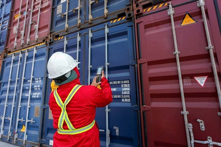 Container shipping for forest products